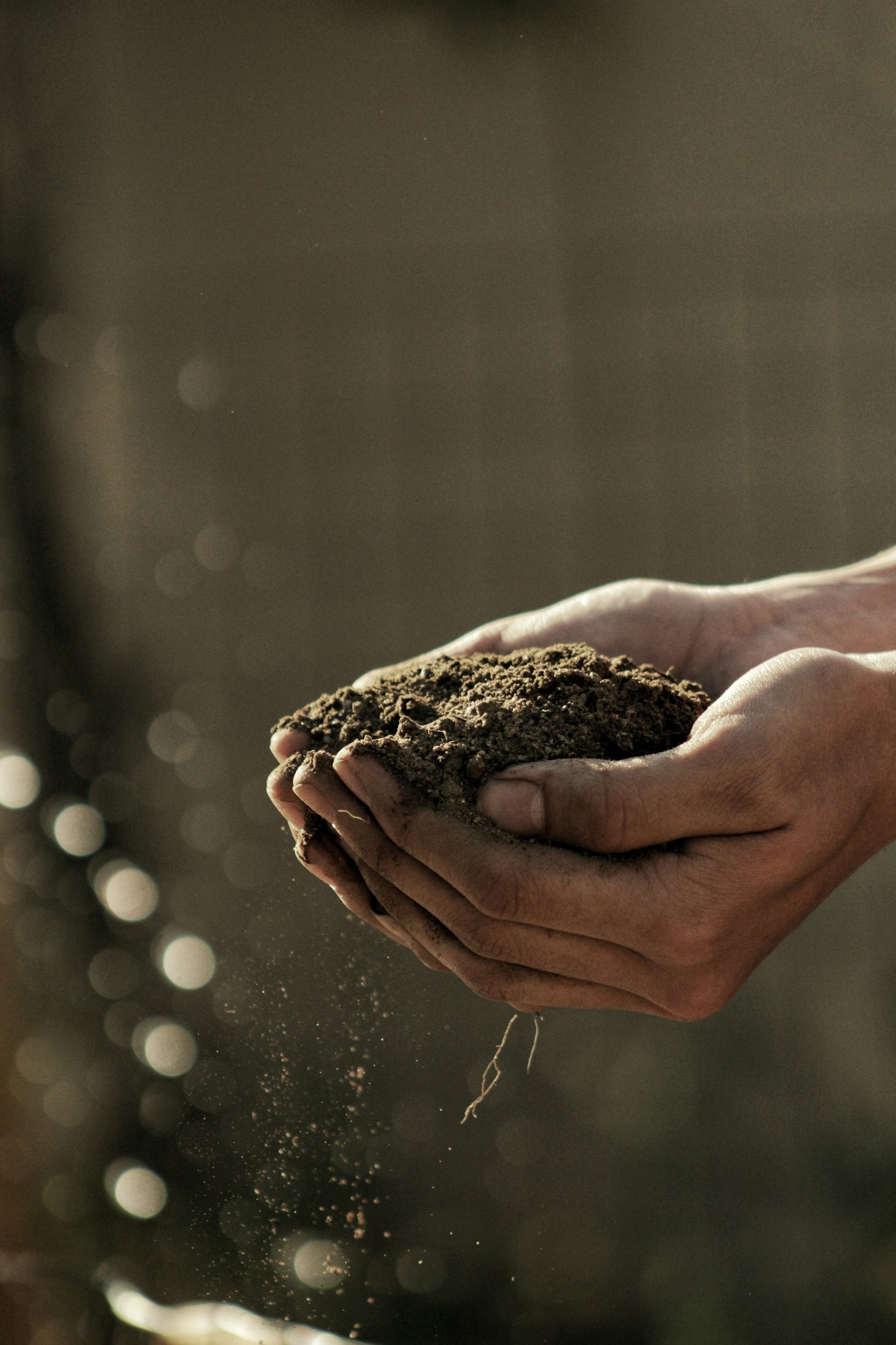 Composting 101: Enhancing Your Soil Naturally